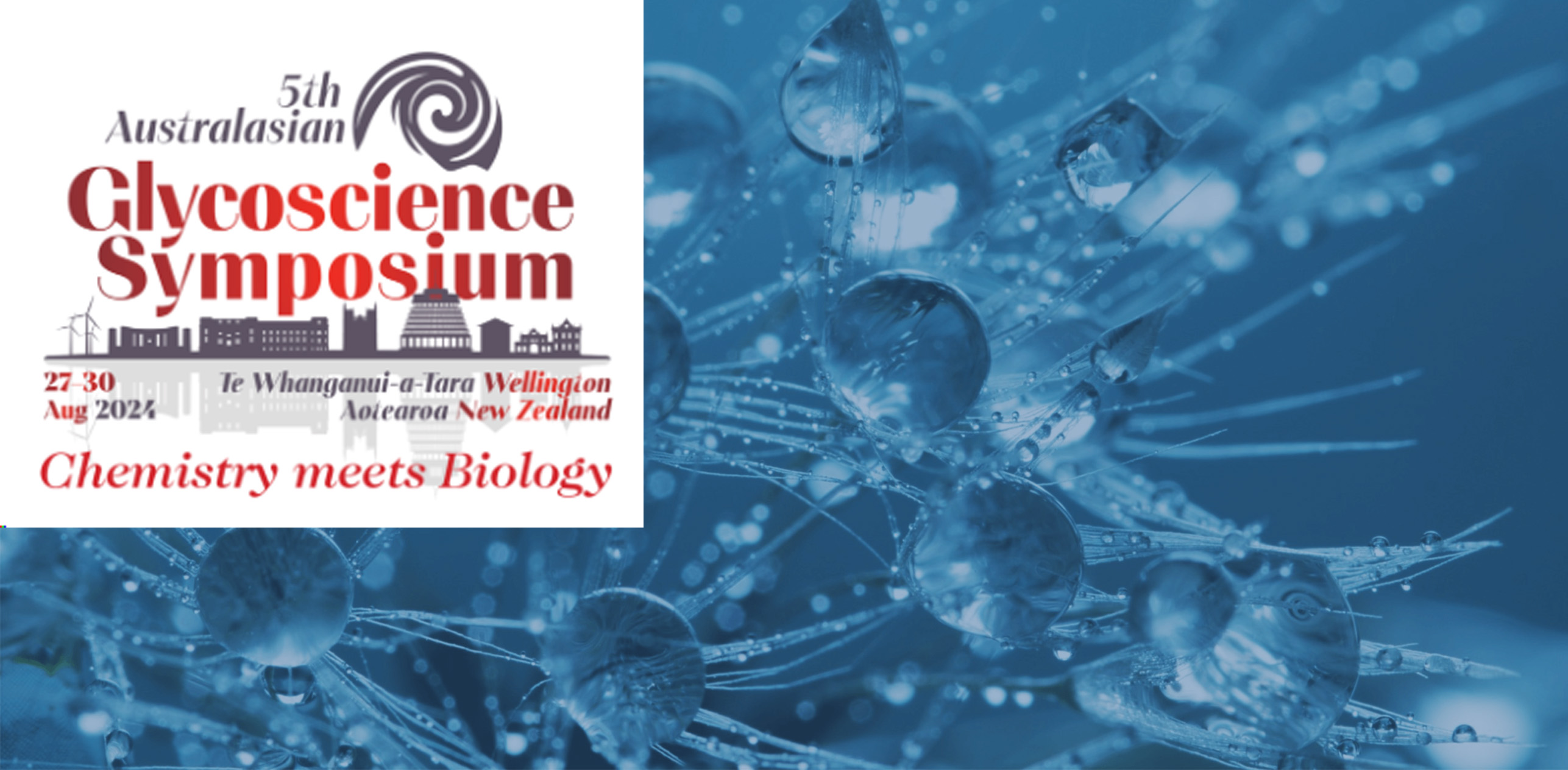 Lab Supply Sponsor 5th Australasian Glycoscience Symposium